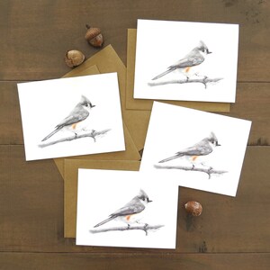 Juego de tarjetas con notas de carbonero, tarjeta de vida silvestre, arte de aves, tarjeta de pájaro cantor, tarjeta de naturaleza, tarjeta de felicitación, tarjeta para observador de aves, regalo de escritor de arte, tarjeta para aves de patio trasero