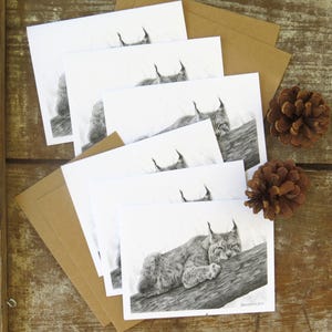 Juego de tarjetas con diseño de lince, gatos salvajes, tarjetas con dibujo a lápiz, papelería con arte de vida salvaje, dibujo de tarjetas para niños, animales del bosque, tarjeta en blanco para escritores sobre la naturaleza