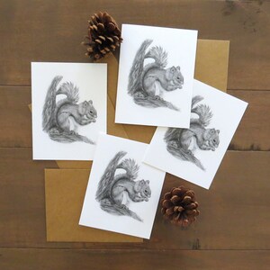 Set di biglietti di auguri con scoiattoli, biglietti di auguri con animali selvatici, animali della foresta, biglietti d'arte naturalistica, animali del bosco, biglietti per bambini, arte con scoiattoli, biglietti vuoti