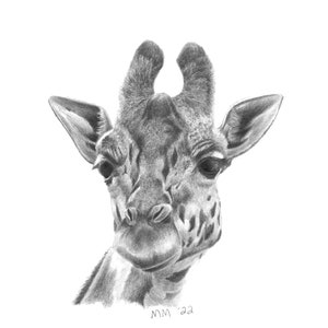 Giraffe Art Print, nursery print, nursery wall decor, animal art, art for nursery, safari art, animal wall art, giraffe drawing, art print