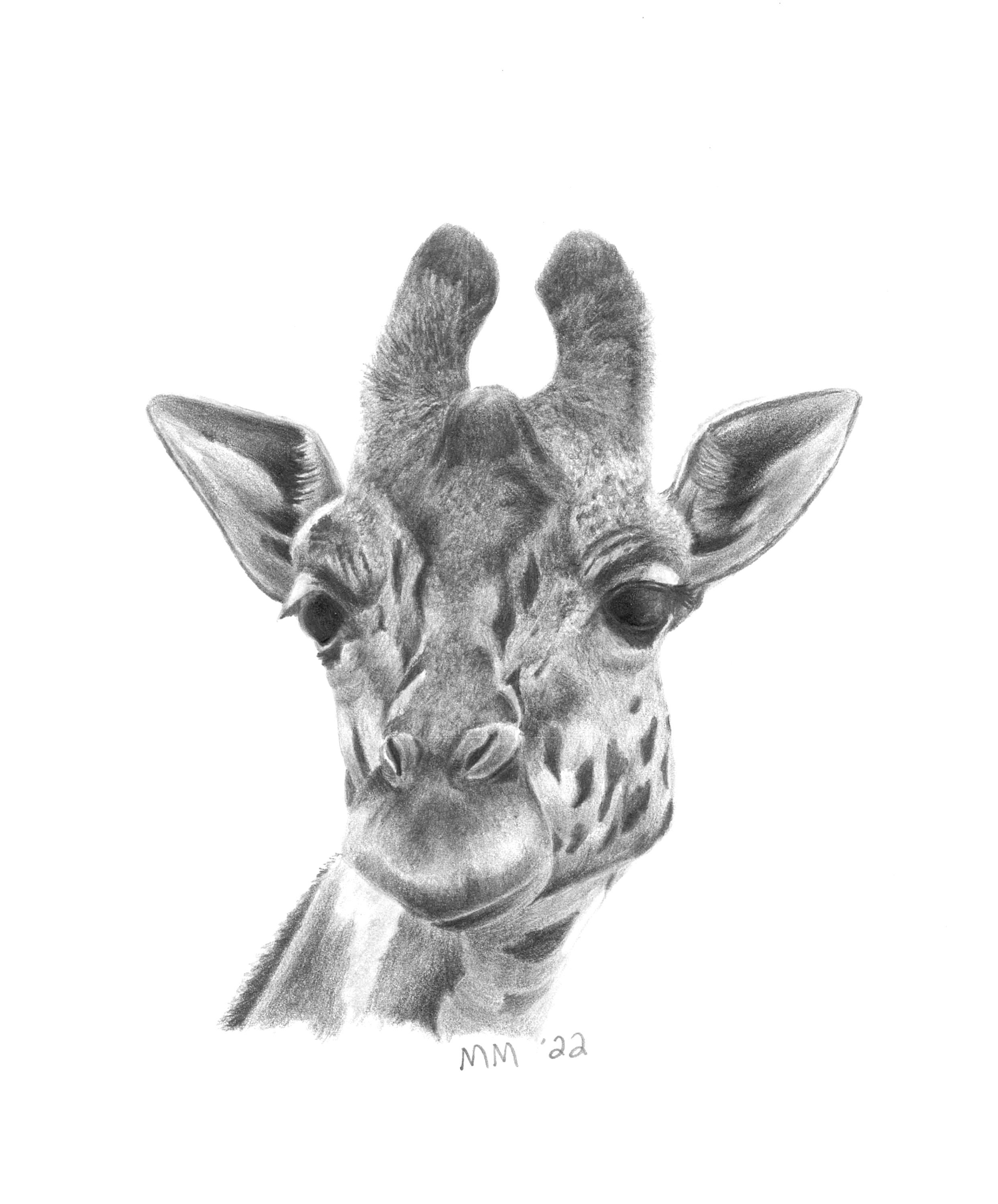 Framed Giraffe Art Print Nursery Wall Print Decor Animal Art Etsy
