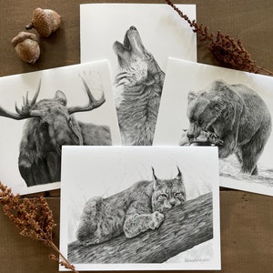 Juego de tarjetas con motivos de animales salvajes, tarjetas de naturaleza, tarjetas con arte de vida salvaje, tarjetas para profesores, tarjetas con motivos de animales salvajes, regalos para escritores, tarjetas para niños