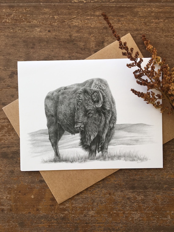 Bison Note Card Bison Note Card