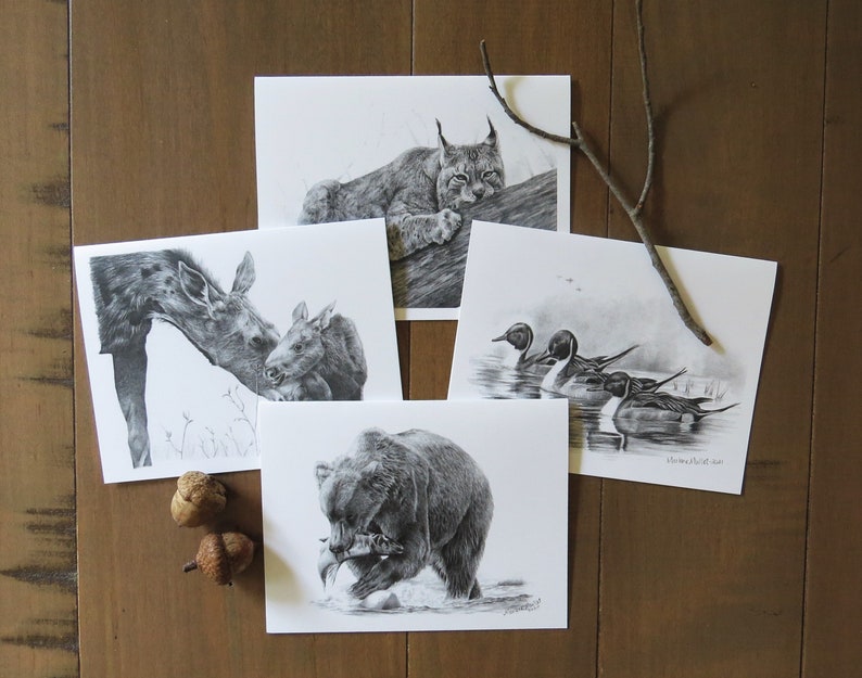 Wildlife Note Card Set, stationary for kids, animal lover gift, pencil art cards, nature writer gift, cards for outdoorsman, wildlife art image 1