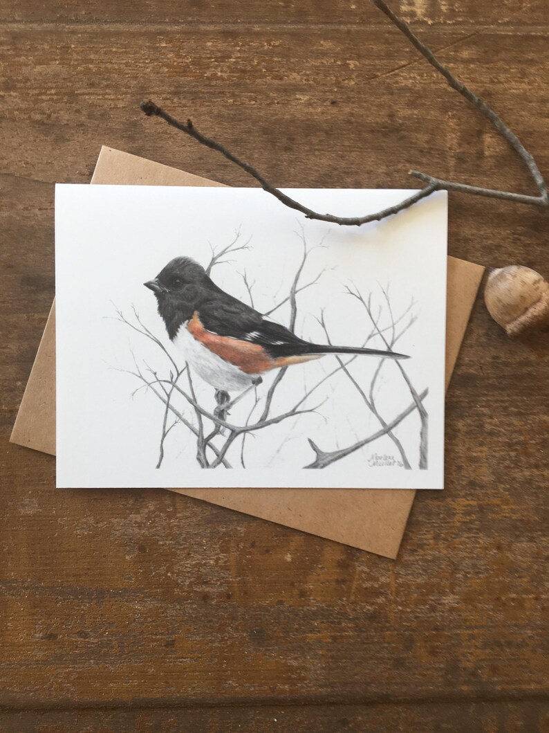 Backyard Birds Note Card Set, Bird Stationary, Hand Drawn Art Card, Set ...
