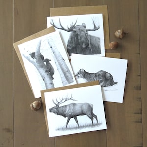 Ensemble de cartes de correspondance animaux des montagnes Rocheuses, lot de 4 cartes, cartes de correspondance sur la faune, carte pour chasseur, cadeau d'écrivain stationnaire sur la nature, cartes d'enseignant
