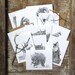 see more listings in the Ensembles de cartes de correspondance de la faune section