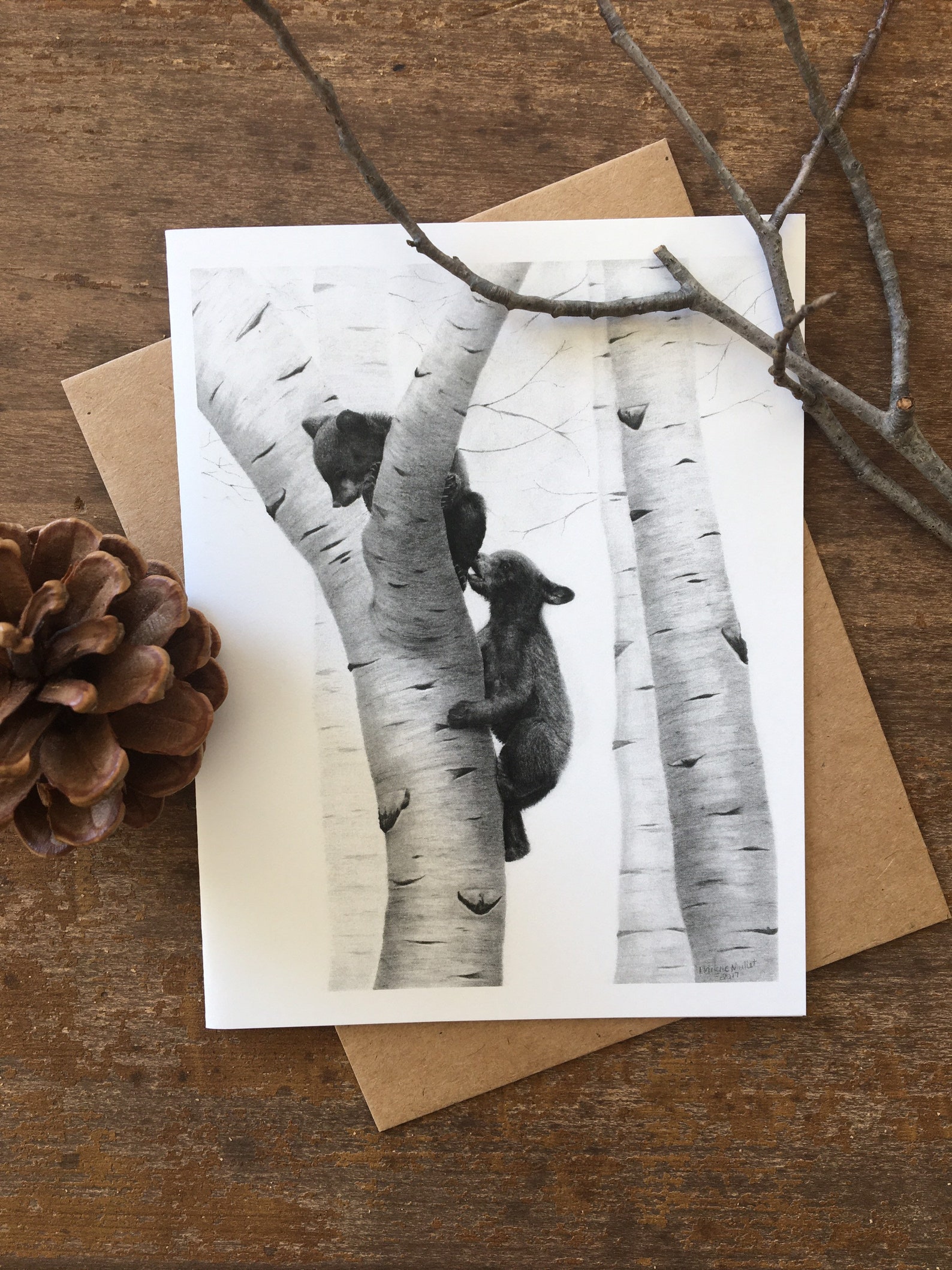 Baby Animal Note Cards Wildlife Note Cards Moose With Etsy