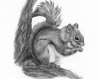 Squirrel Art Print, woodland nursery art, wildlife decor for kids, nature art gift, woodland animals pencil drawing, wall art for kid's room