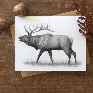 Biglietto di auguri con alce, biglietto con arte della fauna selvatica, alce che canta, biglietto con alce, arte della fauna selvatica, biglietto sulla natura, biglietto di auguri, biglietto vuoto, cancelleria con animali, arte con alce