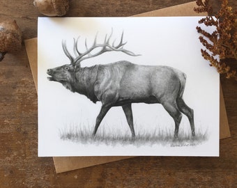 Carte de correspondance wapiti, carte d'art animalier, clairon, carte wapiti, art animalier, carte nature, carte de voeux, carte vierge, papeterie animal, art wapiti