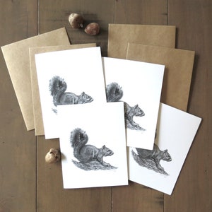 Set di biglietti di auguri con scoiattolo volpe, biglietti di auguri sulla fauna selvatica, animali della foresta, biglietti d'arte naturalistica per bambini, biglietti d'arte con scoiattolo, regalo di cancelleria per scrittori