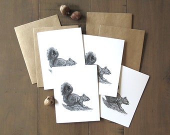 Juego de tarjetas con diseño de ardilla y zorro, tarjeta de rehabilitación de vida silvestre, animal del bosque, tarjeta de arte natural para niños, tarjeta de ardilla, regalo de papelería para escritores.
