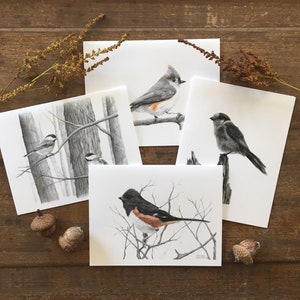 Set di biglietti di auguri per uccelli, set di 4 biglietti, biglietti da visita, biglietti d'arte sulla fauna selvatica, biglietti sulla natura, biglietti in bianco e nero, regalo per naturalisti, arte sugli uccelli,