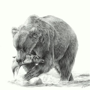 Grizzly Bear Print, wildlife art print, bear art print, bear gift, animal decor, wild animal art, bear wall art, American wildlife, wall art