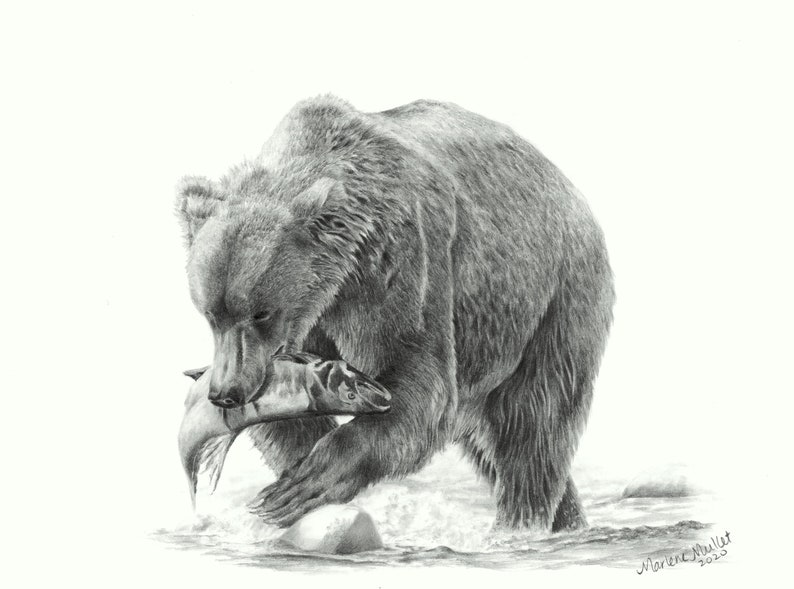 Grizzly Bear Note Card Set, wildlife art card, bear art, card for hunter, bear card for husband, pencil art, art card, blank invitation card image 6