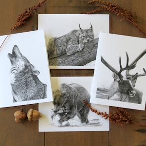 Wildlife Collection Note Card Set, animal cards, cards for teacher, nature stationary, art cards, wild animals, cards for him, wolf card