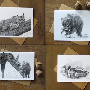 Wildlife Note Card Set, stationary for kids, animal lover gift, pencil art cards, nature writer gift, cards for outdoorsman, wildlife art image 7