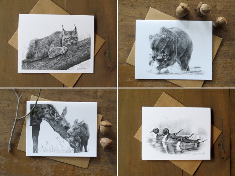 Wildlife Note Card Set, stationary for kids, animal lover gift, pencil art cards, nature writer gift, cards for outdoorsman, wildlife art image 7