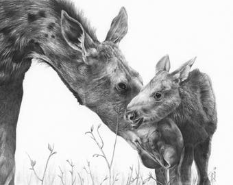 Moose Art Print Moose With Baby Black And White Nursery Art Etsy Australia
