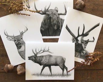 Wildlife Note Cards,  gift for teacher, wildlife art cards, stationery cards, gift for nature lover, black and white note cards,animal cards