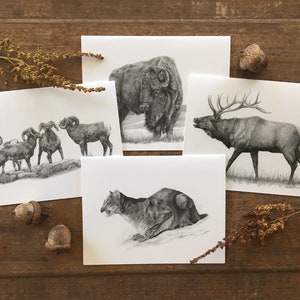 Ensemble de cartes de correspondance Animaux de l'ouest, lot de 4 cartes, cartes de correspondance sur la faune, cartes d'art, art animalier, art de la faune, carte pour chasseur, carte pour papa
