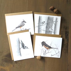 Backyard Birds Notitiekaartenset, vogel stationair, handgetekende kunstkaart, set van 4 blanco kaarten, uitnodigingskaart, bedankkaarten