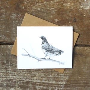 Carte de correspondance de tétras, carte d'art de la faune, art d'oiseau, carte d'oiseau, art de tétras, carte de la nature, carte pour ornithologie, cartes en vente, carte de voeux animal image 3