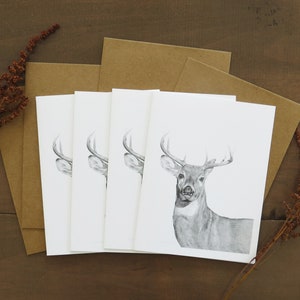 Deer Note Card Set, wildlife note card, deer art card, woodland animal, hunting art, card for hunter,card for husband,stationery gift nature image 1