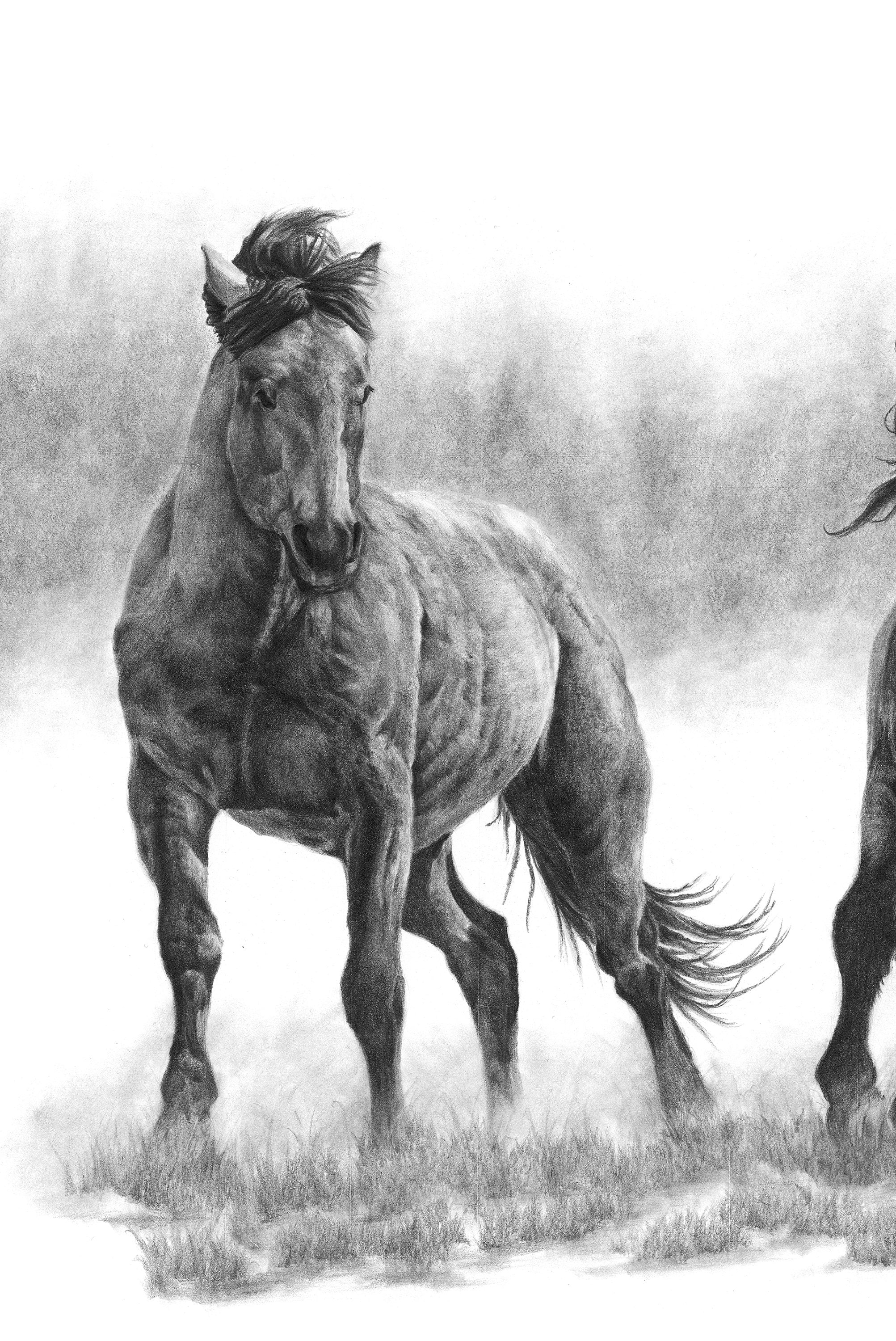 Running Horses Art Print, Horse Lover Gift, Wild Horses Western Wall Art,  Gift for Nature Lover Husband Gift, Wall Art Man Cave,pencil Print - Etsy, image size:2005x3000