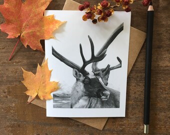 Caribou Note Card, wildlife art card, caribou art, greeting card, black and white cards, nature card, writer gift, card for nature lover