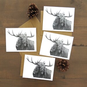 Ensemble de cartes de correspondance orignal, cartes d'art animalier, cartes nature, cartes d'art orignal, art de chasse, cartes d'animaux, carte pour chasseur, carte pour lui, cadeau orignal