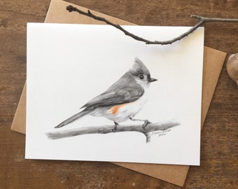 May include: A grayscale drawing of a tufted titmouse perched on a branch. The bird has a gray body, a black cap, and a white face. The drawing is signed "Monica Miller 2018".