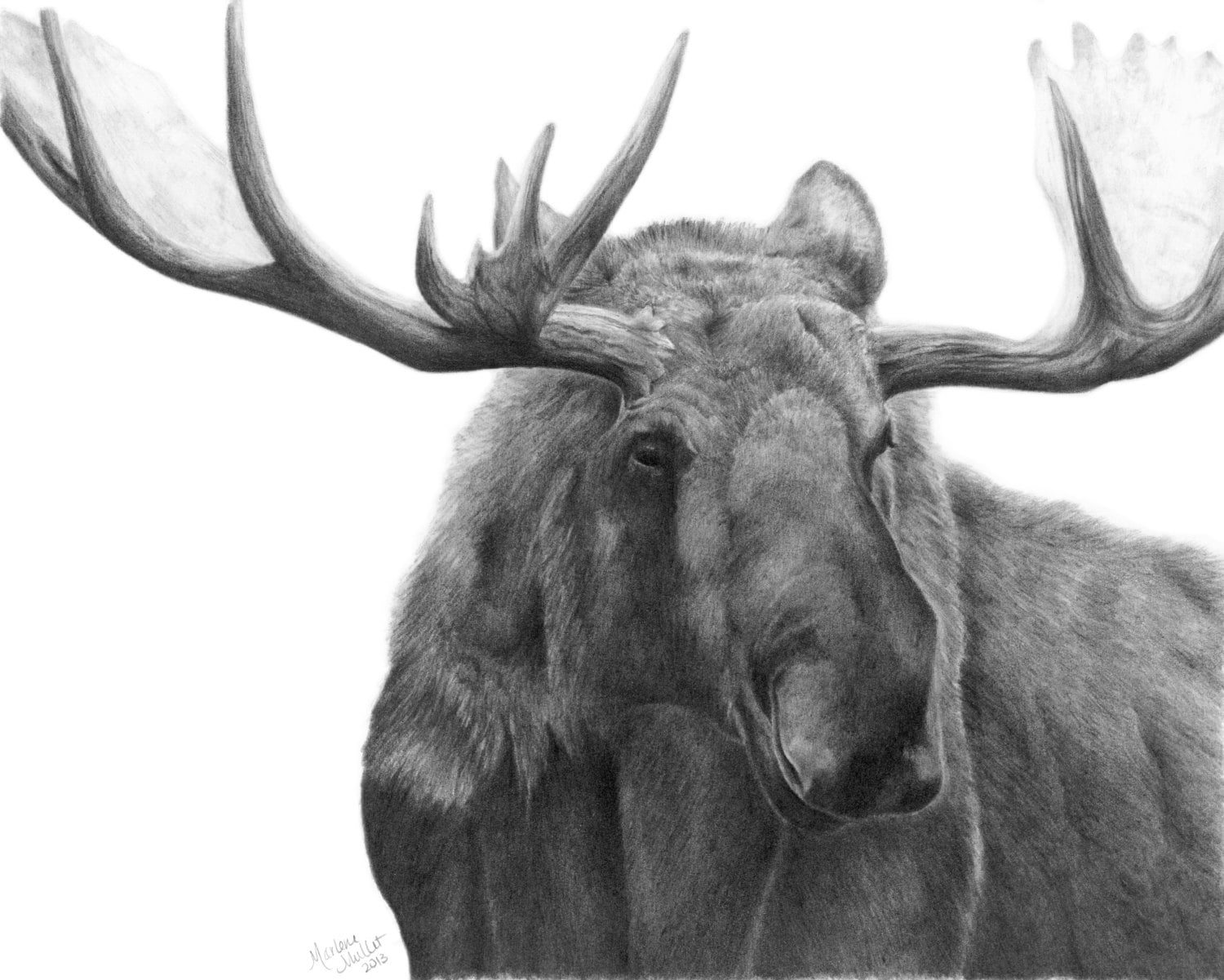 Moose art print, wildlife art prints, gift for him, nature art prints, wild...