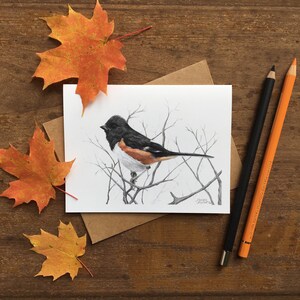 Tarjeta de notas de Towhee, tarjeta de arte de vida silvestre, tarjeta para observador de aves, tarjeta de naturaleza de papelería, tarjeta de felicitación para amantes de las aves, regalo de cumpleaños para estudiantes, persona al aire libre