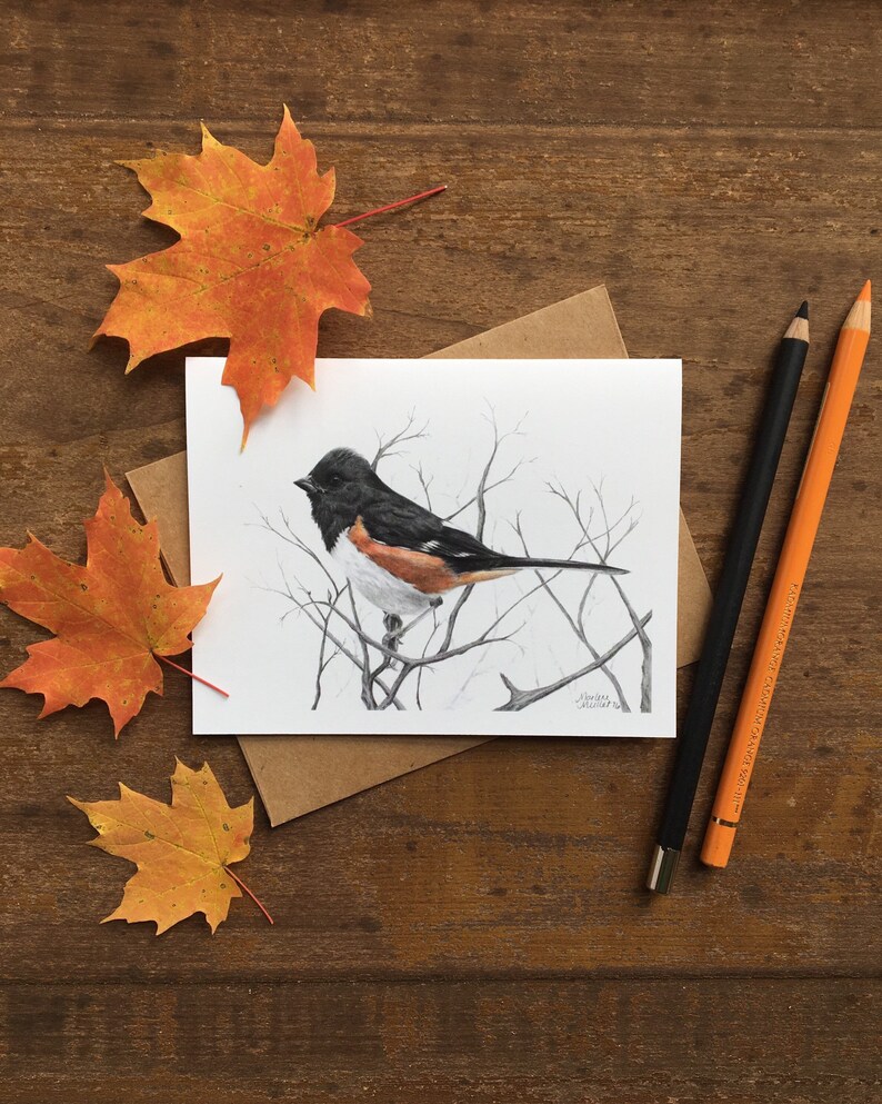 Towhee note card bird cards wildlife art cards bird art Etsy