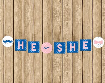 Printable He or She Banner, Gender Reveal Banner, He or She Banner, Instant Download Banner, Gender Reveal Party Decor, Pink and Blue