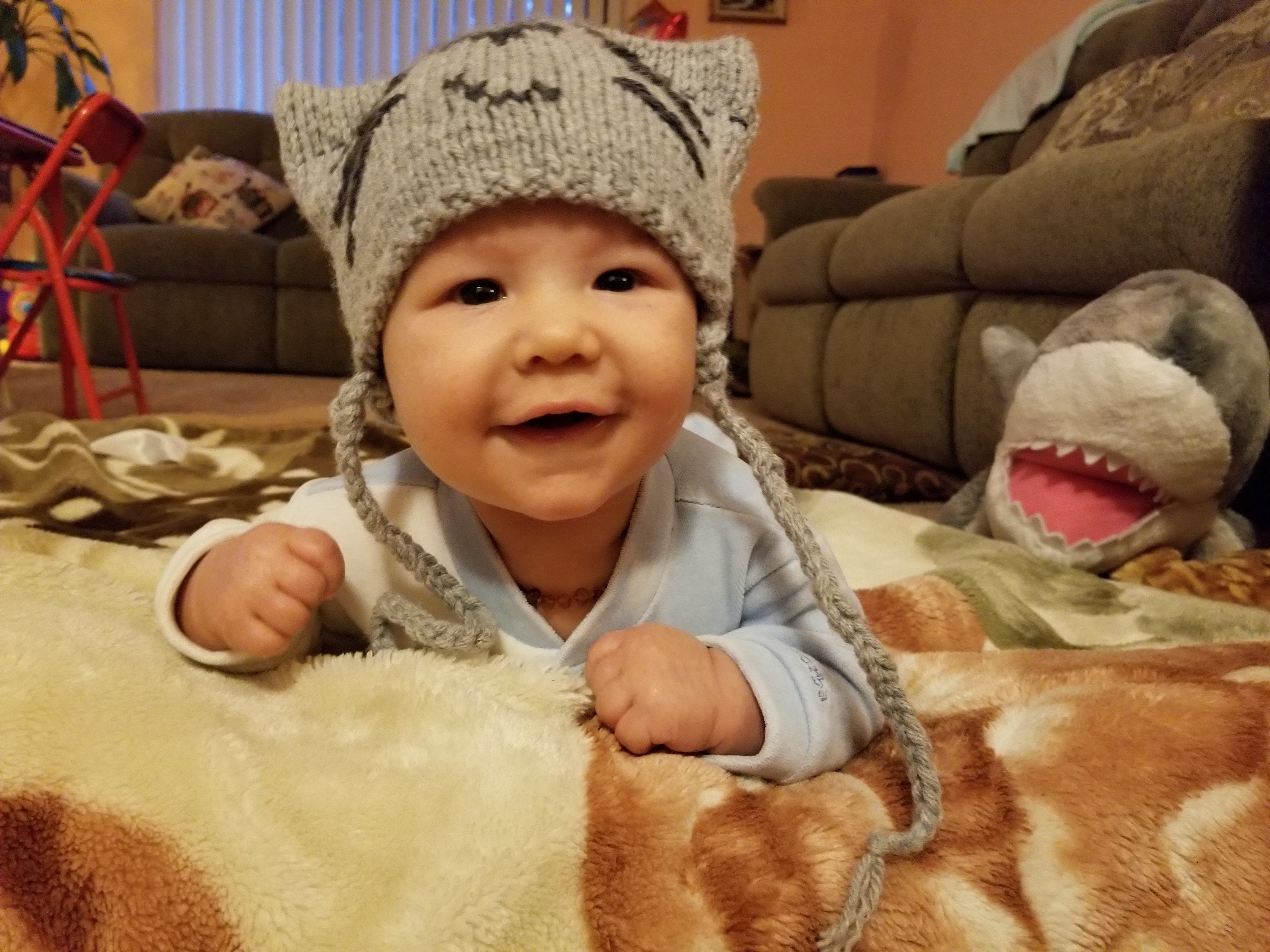 Baby Hat 36 month Crochet baby hat Photo Prop Cat hat Etsy