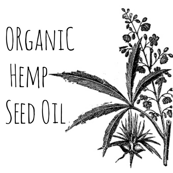 Organic Hemp Seed Oil - Organic Hemp Oil - Hempseed Oil - Organic Oil - Natural Oil - Pure Hemp Seed Oil