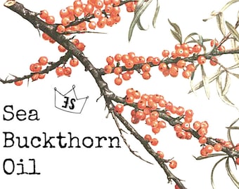 Sea Buckthorn Oil | Seabuckthorn Oil | Antiaging Skin Care