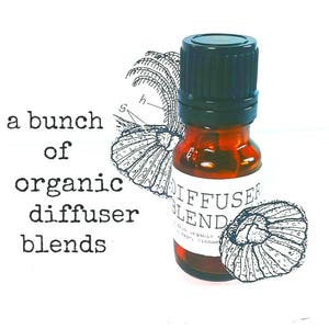 Diffuser Oil | Organic Essential Oil Blends | Aromatherapy Oils | Home Fragrance Oil | Natural Air Freshener | Diffuser Necklace Oil