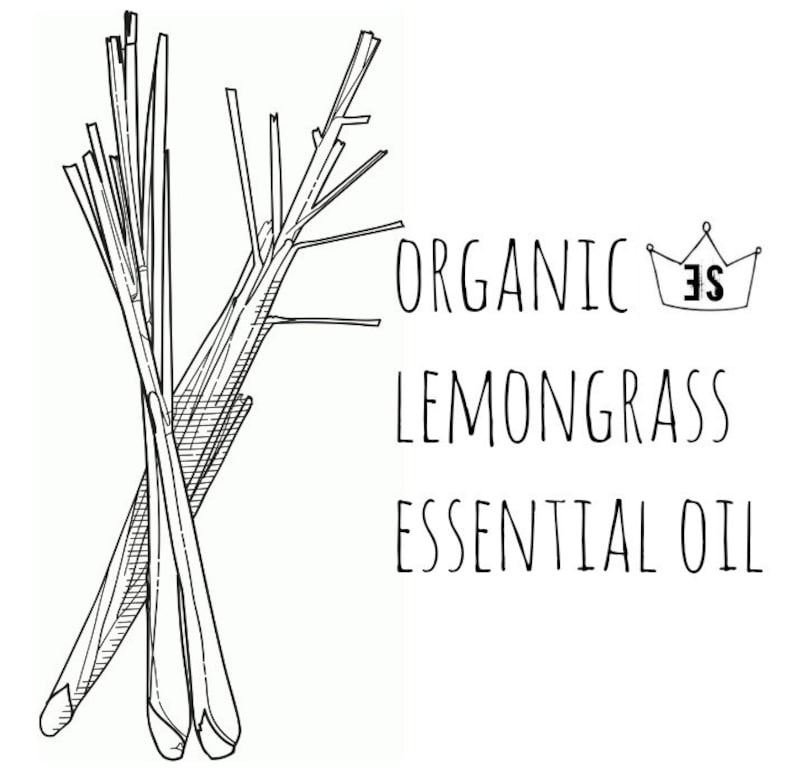 Organic Lemongrass Essential Oil Insect Repellent Pure Etsy
