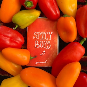 Spicy Boys Zine