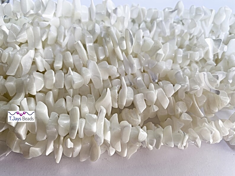 Shell Chip Beads 1018mm Etsy