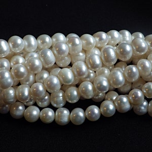 May include: A strand of white pearls, arranged in a loose pile, with a smooth, glossy finish.