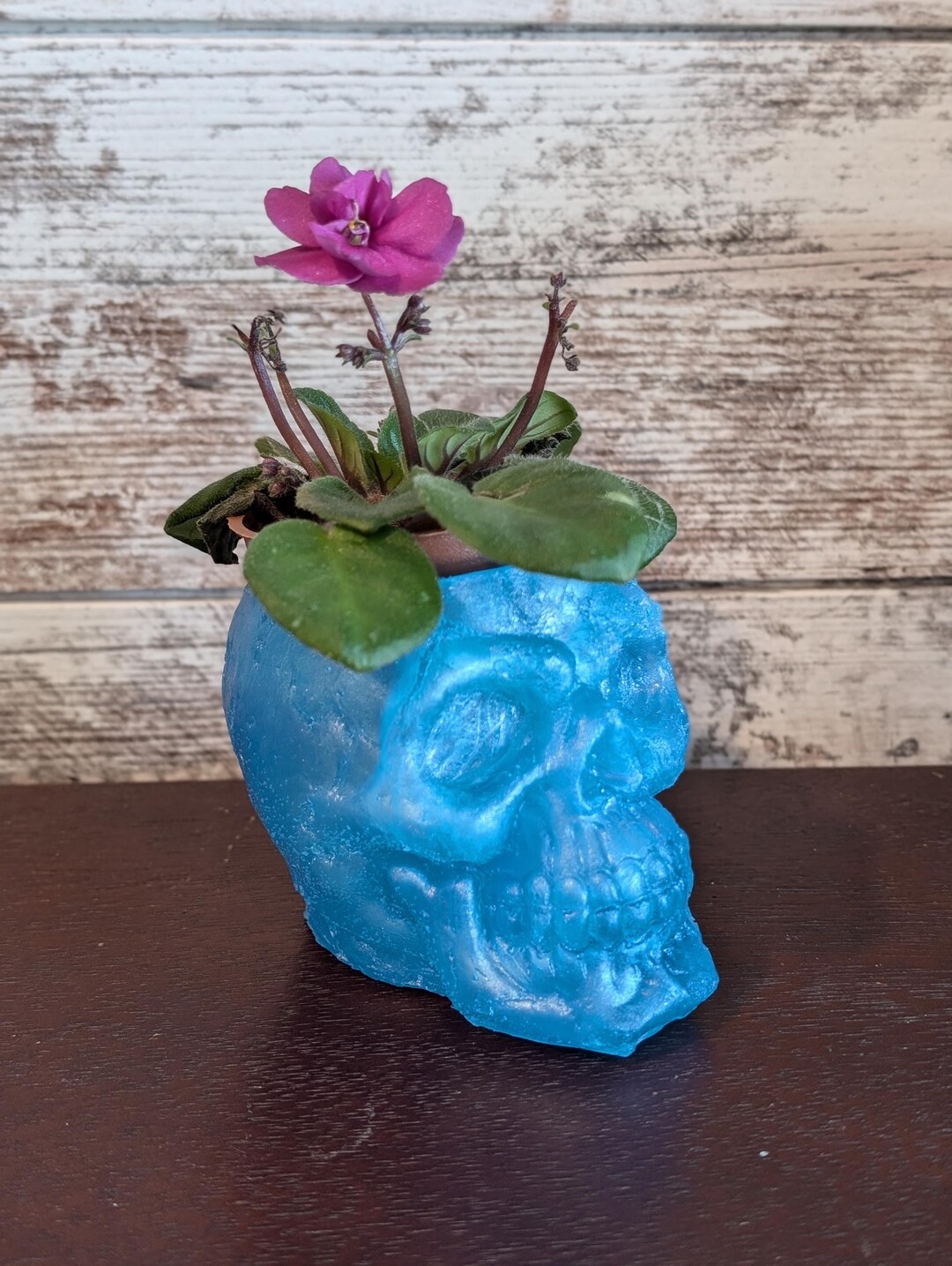 樹脂製スカル植木鉢 | スカル植木鉢 | 樹脂製プランター | 樹脂製