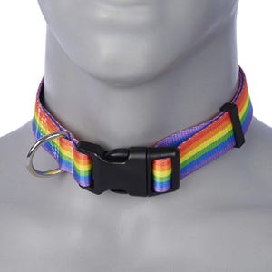 May include: An adjustable collar with a rainbow design, featuring a black plastic buckle and a silver D-ring.
