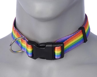 PRIDE Costume or Dog Collar - 1" Wide, 13 Flag Options!