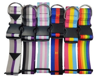 May include: Six colorful striped dog collars with silver buckles. The collars are in the colors of the LGBTQ+ pride flag.