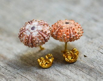 Pink sea urchin small stud earrings, sea shell jewelry, natural accessories